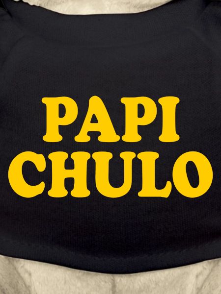 Papi chulo