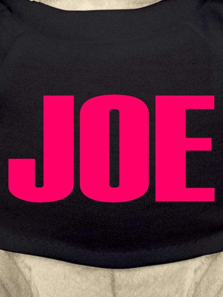 Joe