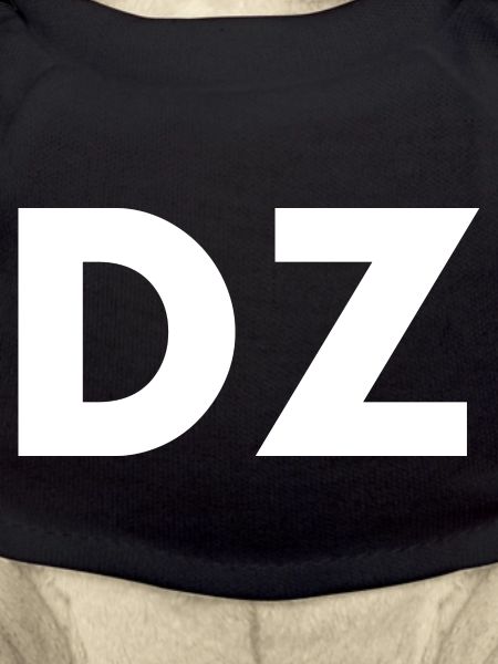 Dz