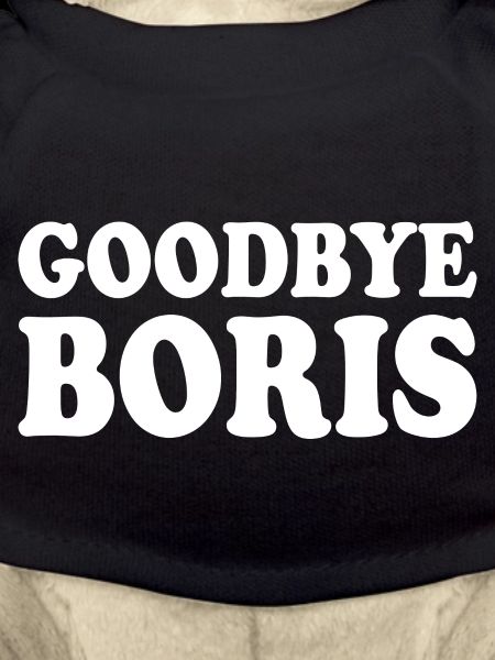 Goodbye boris