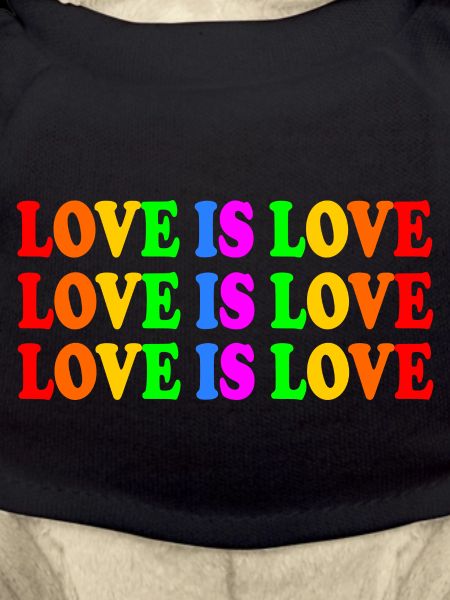 Love is love