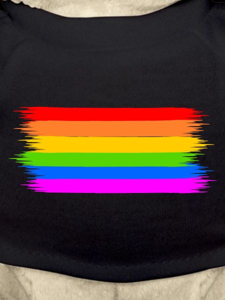 rainbow flag