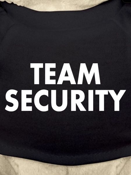 Team security