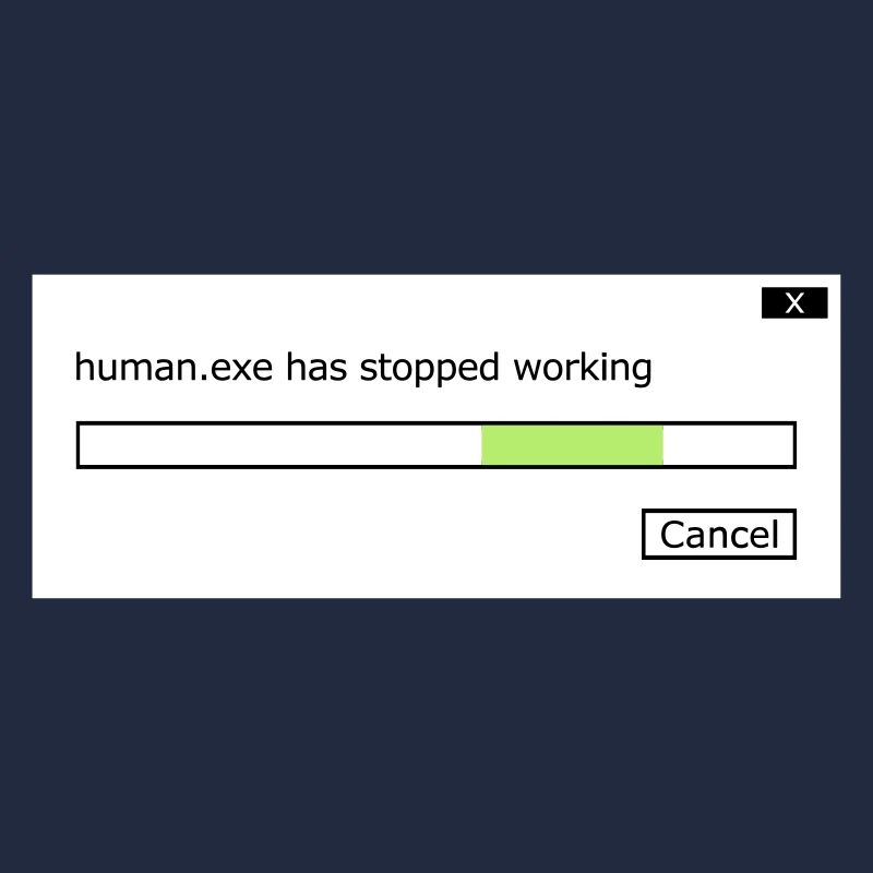 human.exe has stopped working Spruch human .exe