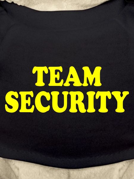 Team security
