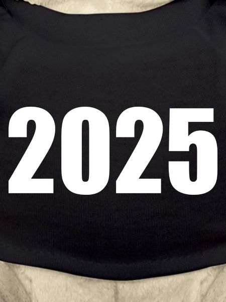 2025