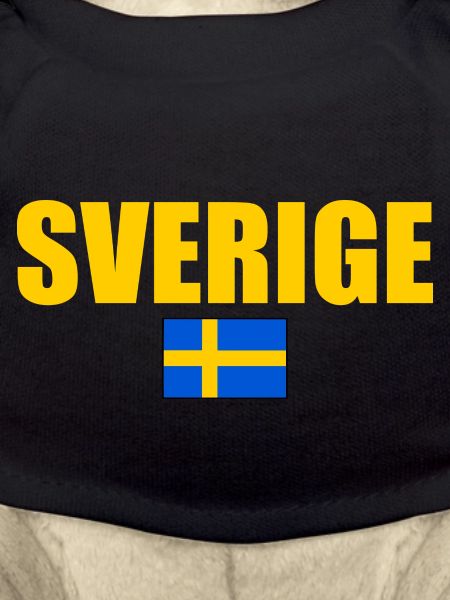 Sweden flag