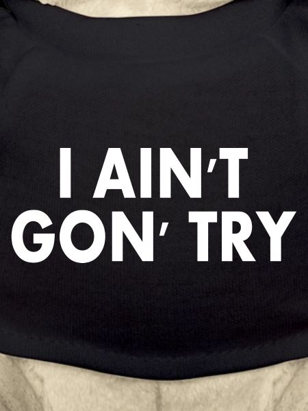 i aint gon try