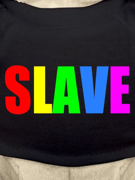 Slave