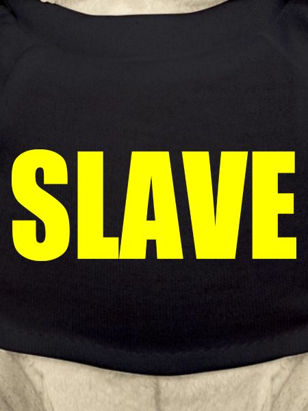 Slave