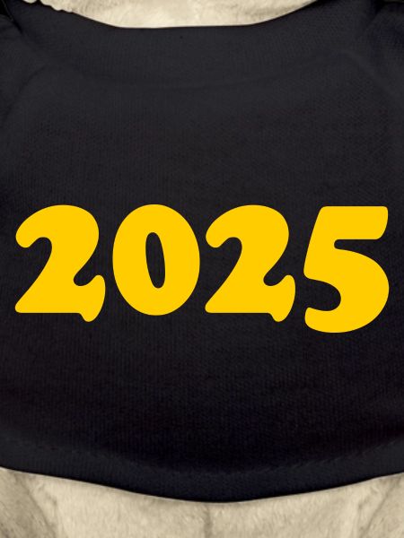 2025