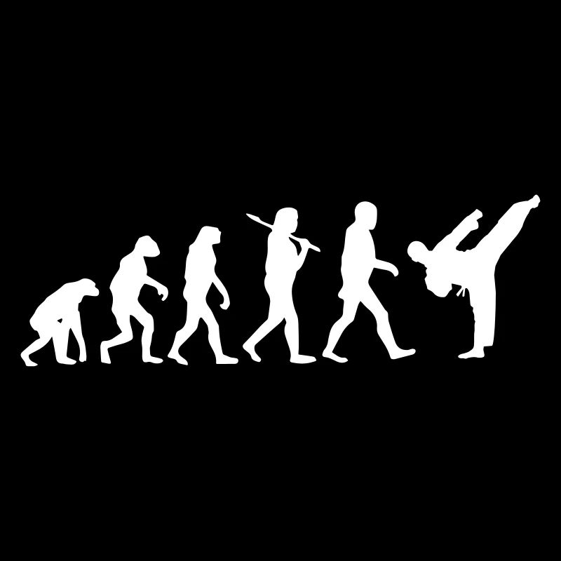 Evolution Karaté Judo Arts Martiaux MMA Japon Aikido