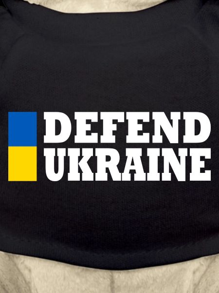 Defend ukraine