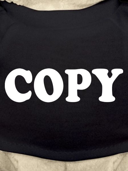 Copy