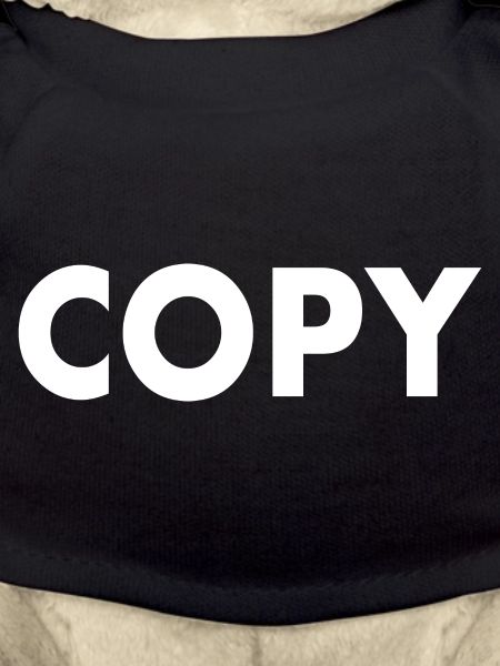 Copy