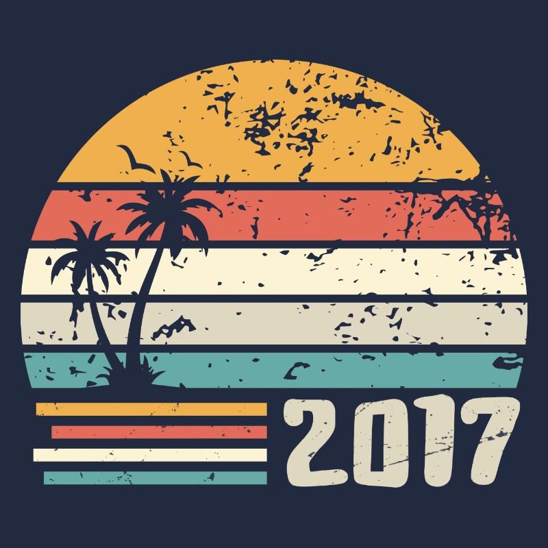2017 Cadeau Anniversaire - Made in 2017 Rétro 2017