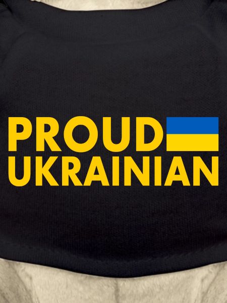 Proud ukrainian