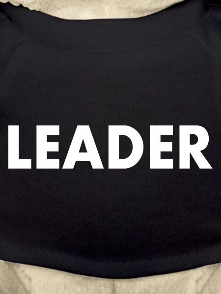 Leader