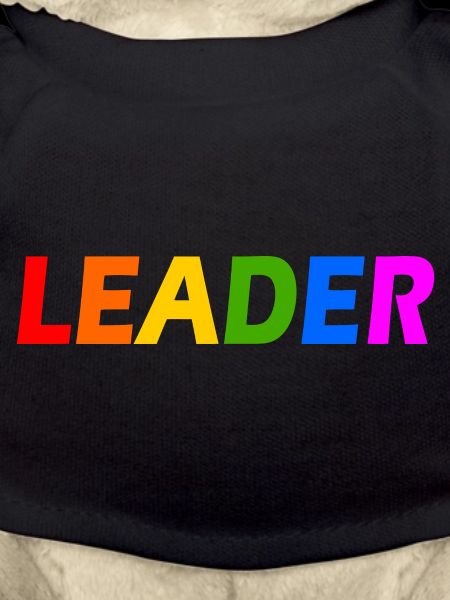 Leader