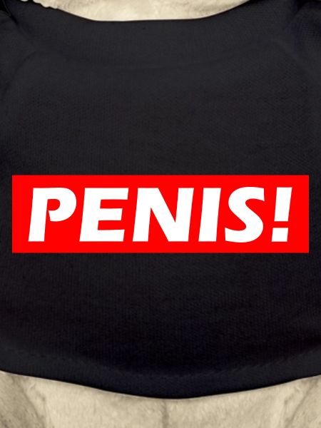 Penis