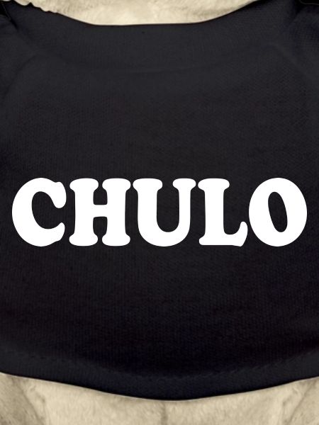Chulo
