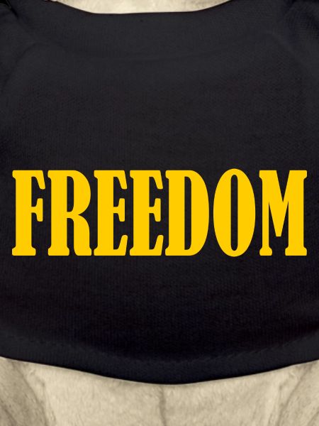 freedom