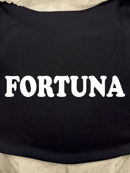 Fortuna