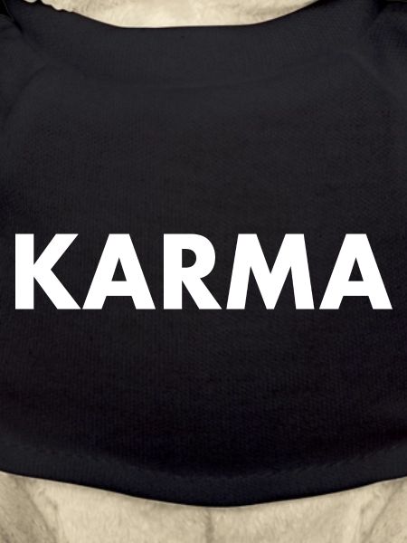 Karma