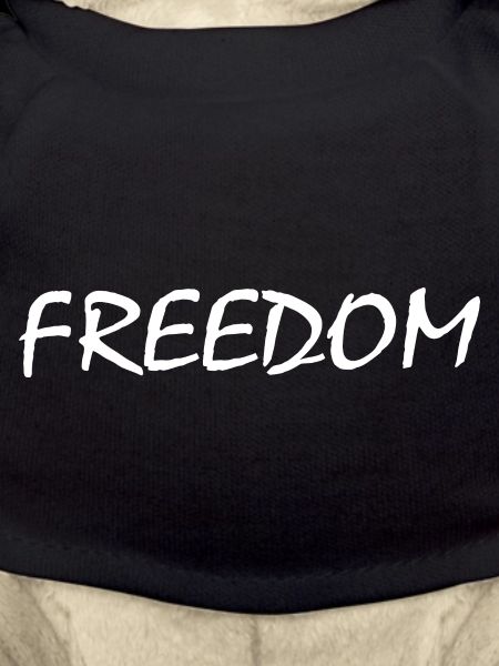 Freedom