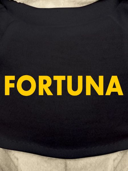 Fortuna
