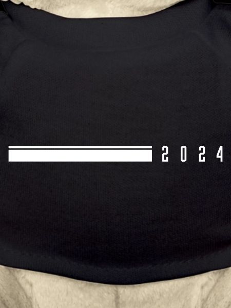 2024 year