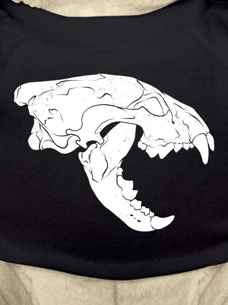 Wolverine Skull