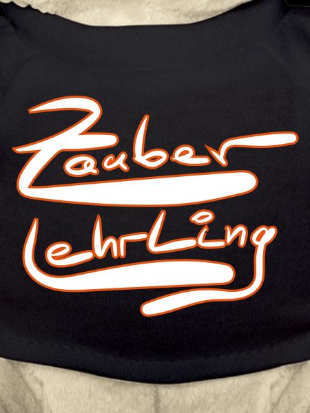 Zauber Lehrling