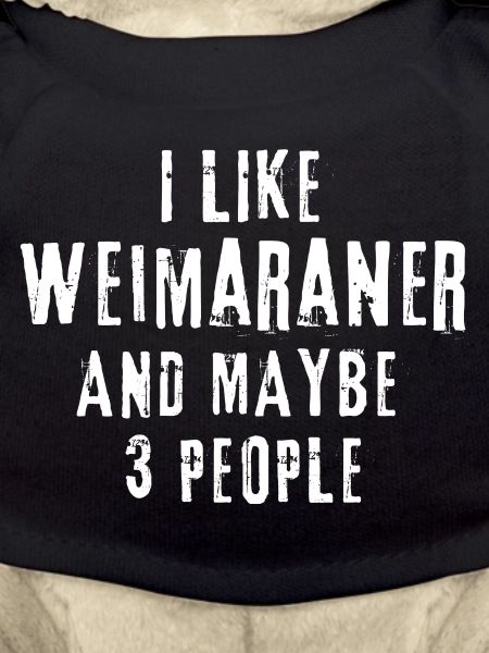 Weimaraner