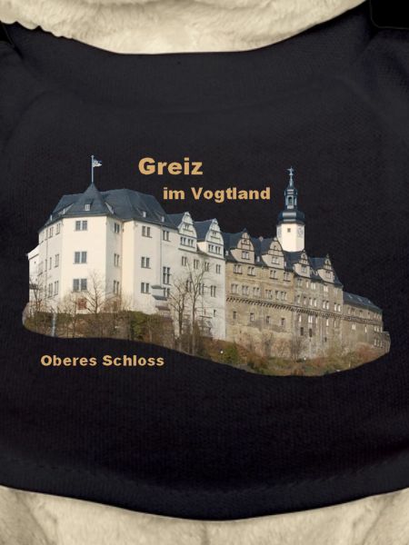 Greiz Oberes Schloss
