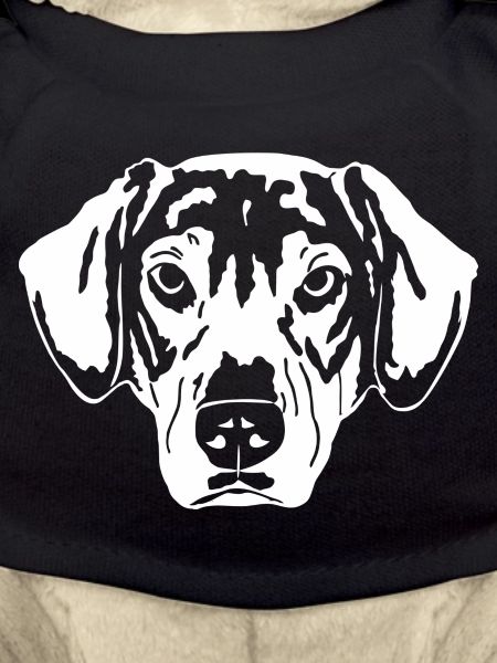 Schäferhund Mix