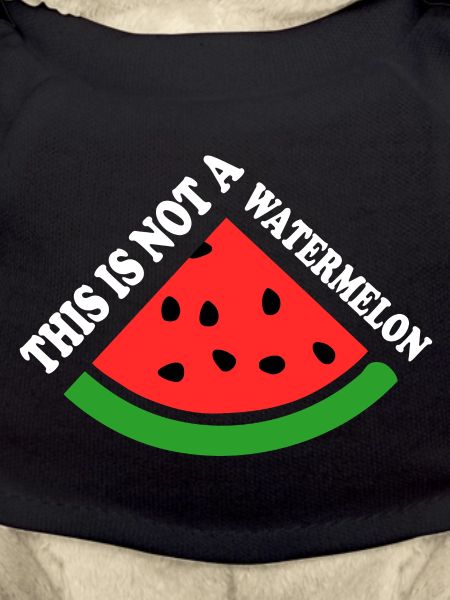 THIS IS NOT A WATERMELON
