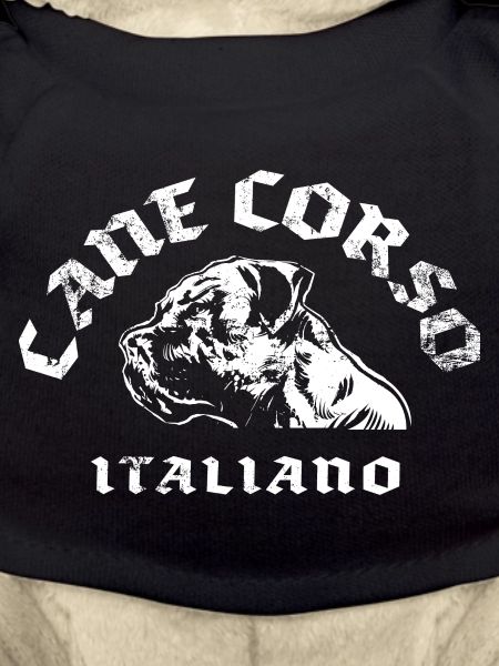 Cane Corso
