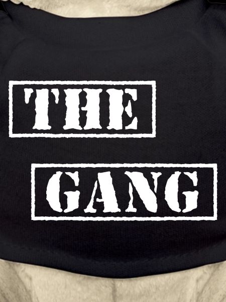 The Gang