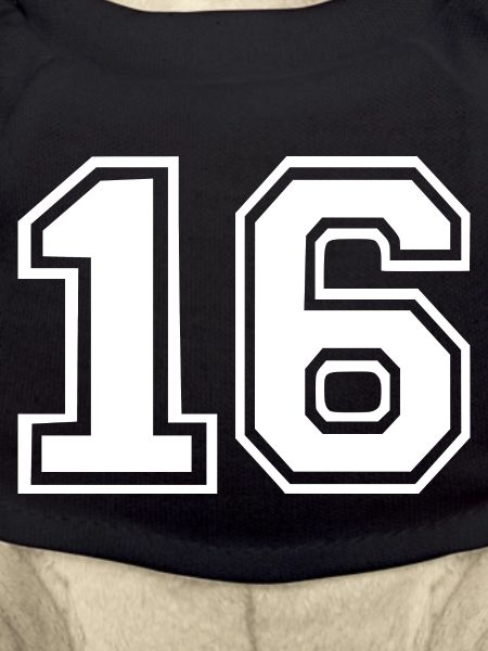 16