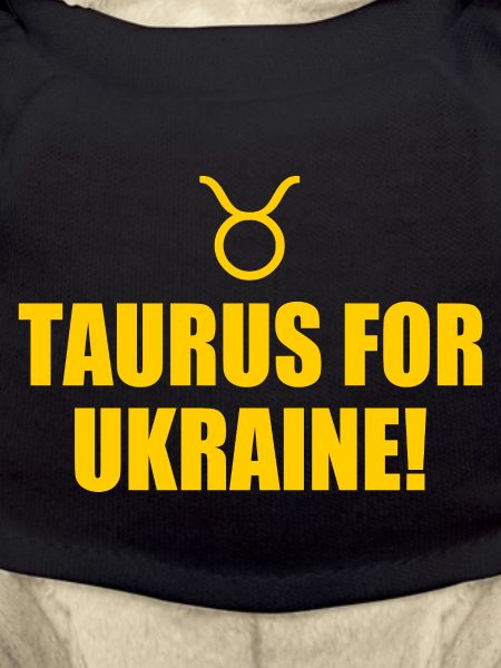taurus for ukraine