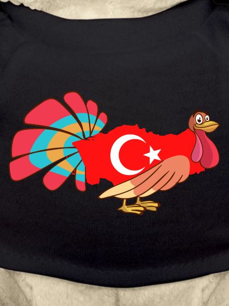 Funny Turkey Turkey