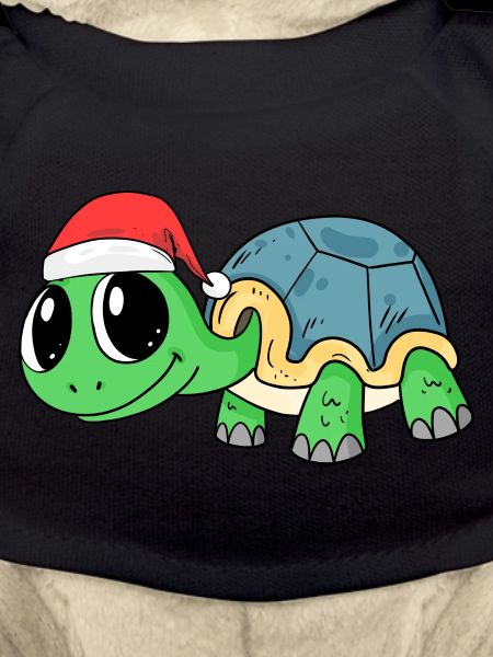 Turtle Christmas