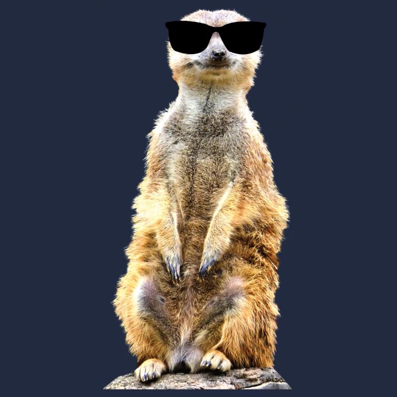 Erdmännchen cool drollig witzig mit Sonnenbrille