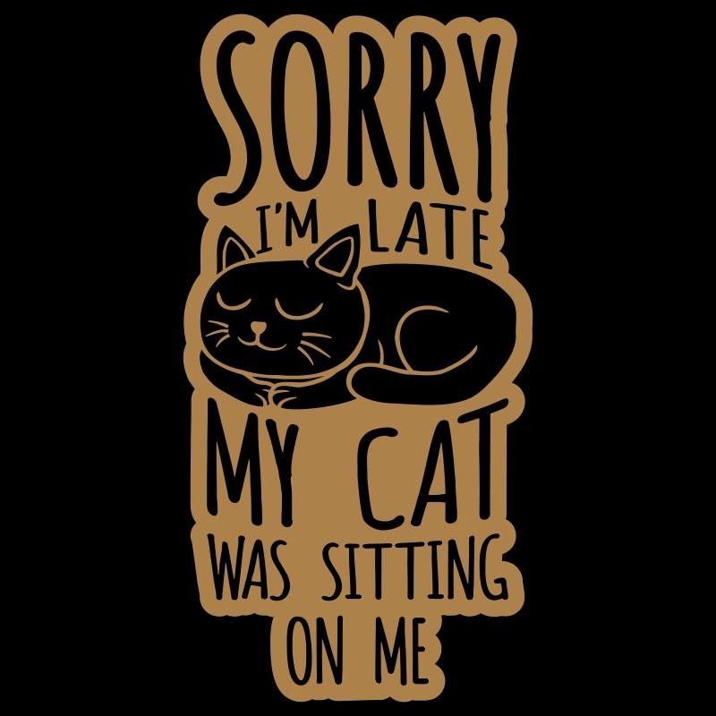 désolé chat était assis