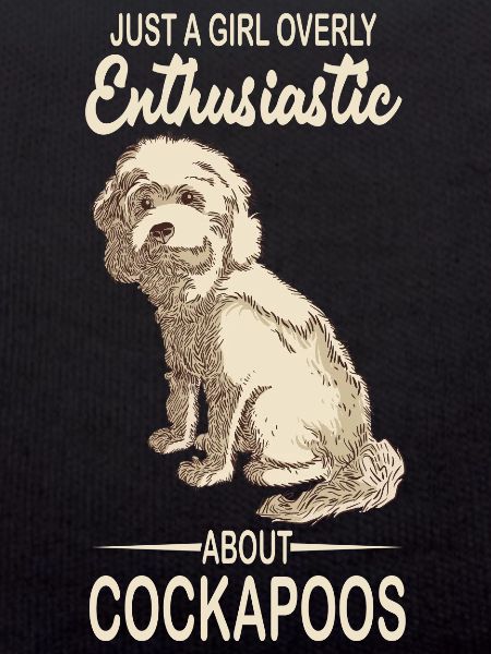 Cockapoo