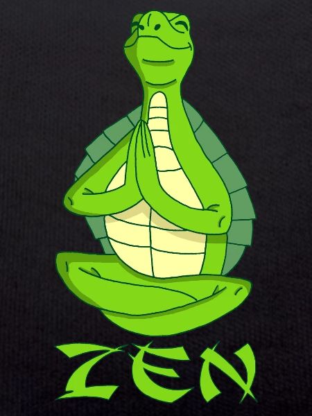 Yogi Turtle