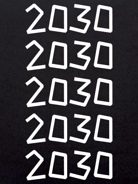 Birthday 2030