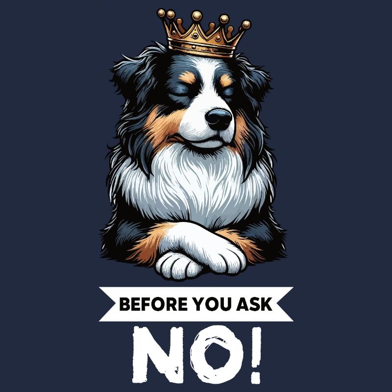 Avant de demander aux Australian Shepherds Aussie Aussies