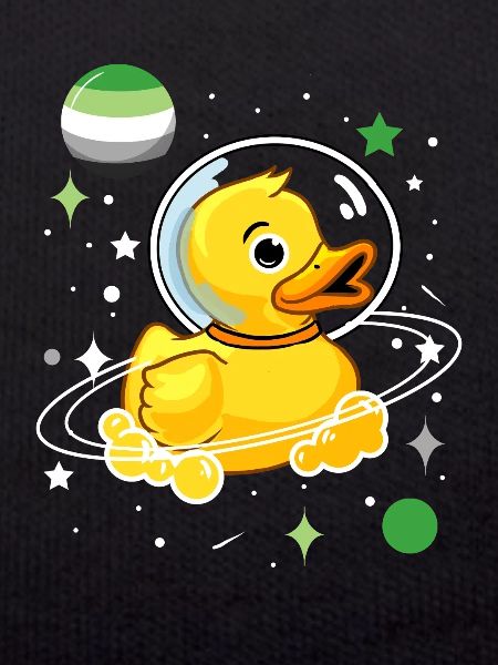 Duck Astronaut Aromantic Pride